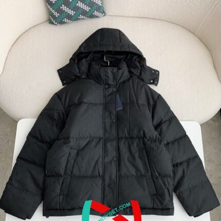 LV down jacket